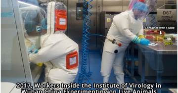 House Democrats Block Bill to Declassify Intel on Origins of COVID-19 Virus in Wuhan Lab